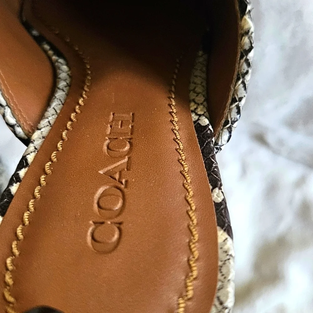 Coach Scotty Slide Mule Snake Print Silver Logo Women's Size 6 Shoes